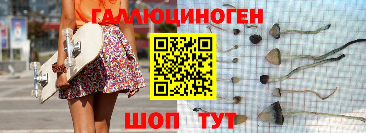 Лесосибирск  Псилоцибиновые грибы мухоморы  Вход с VPN 